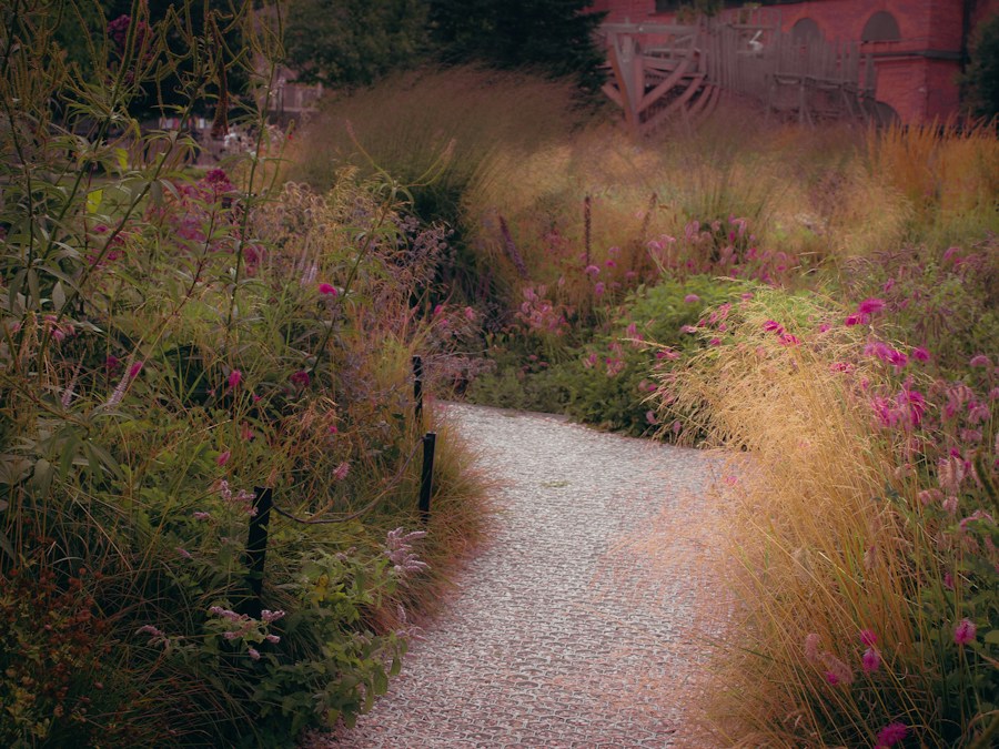 A gravel path framed by layered planting and ornamental grasses