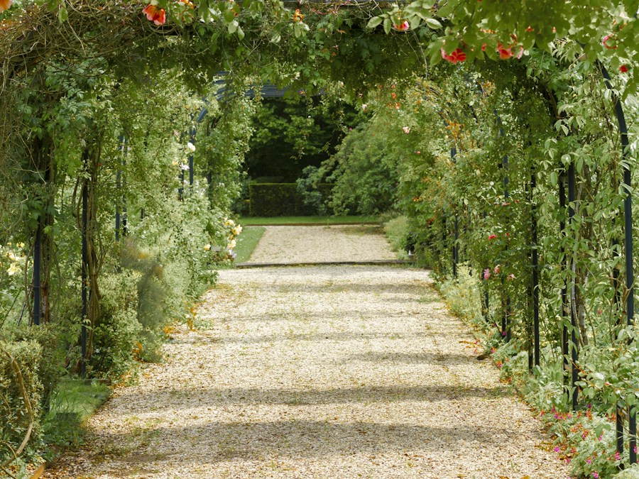 A paved garden walkway bordered by flowering plants