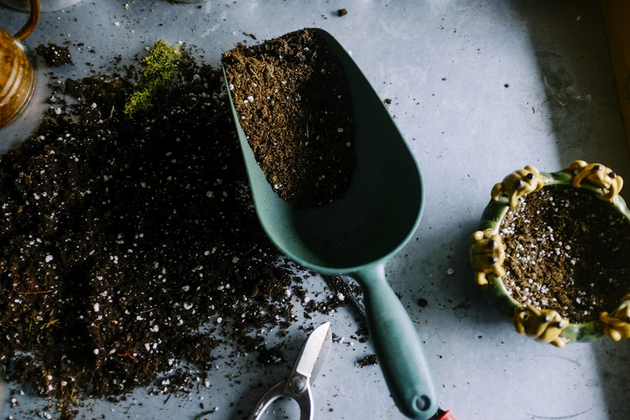 A garden trowel and small plants ready for planting
